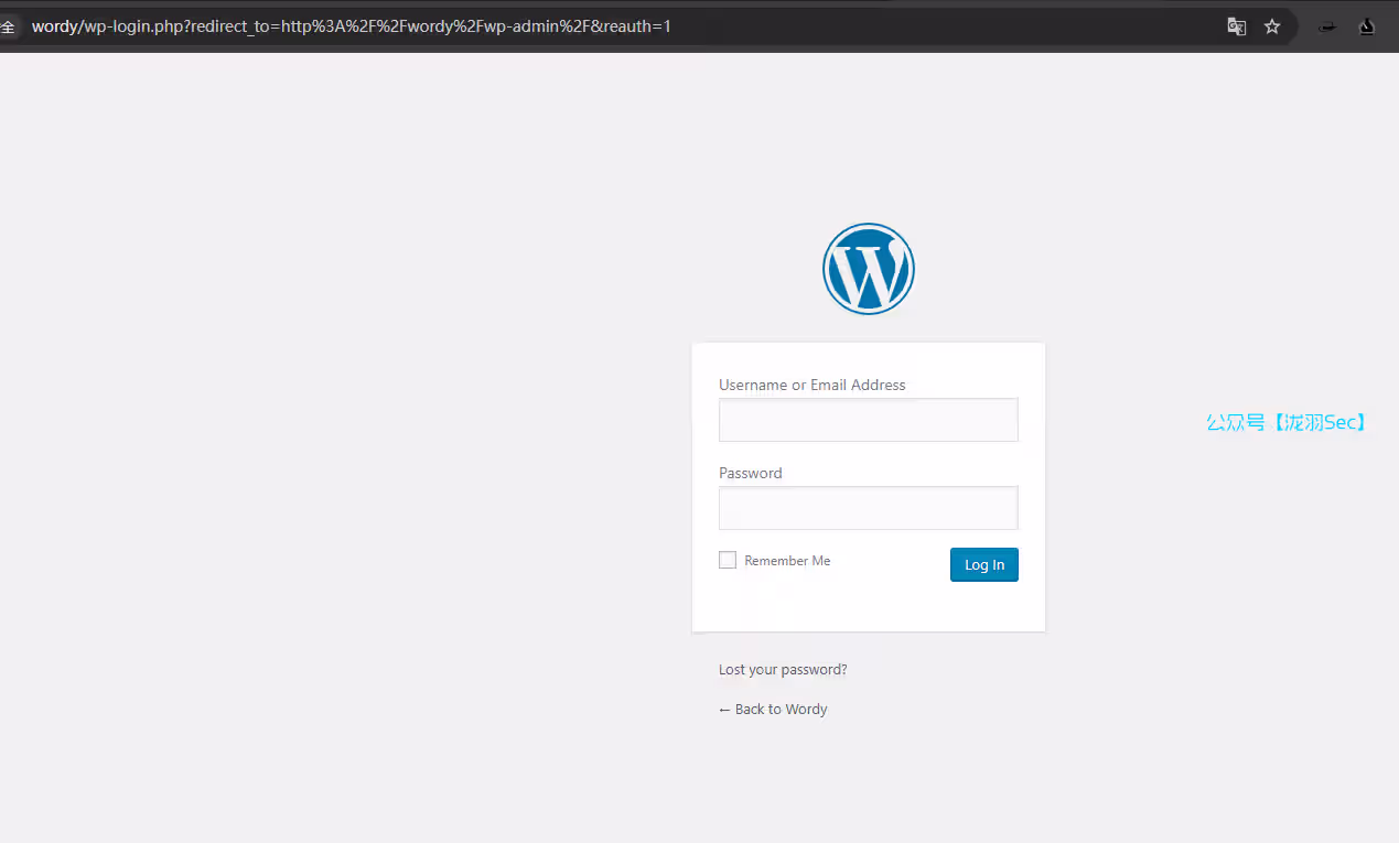 image-20241116205817428