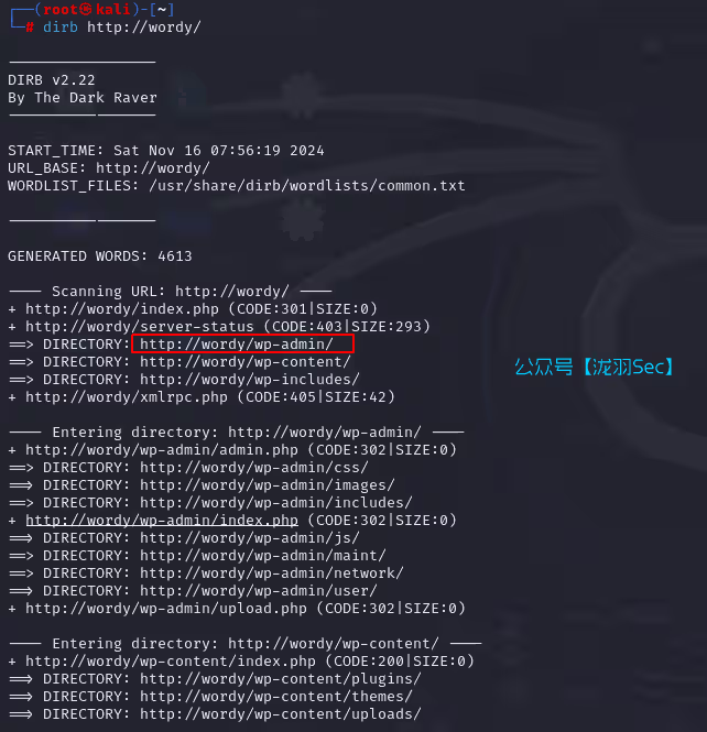 image-20241116205804456