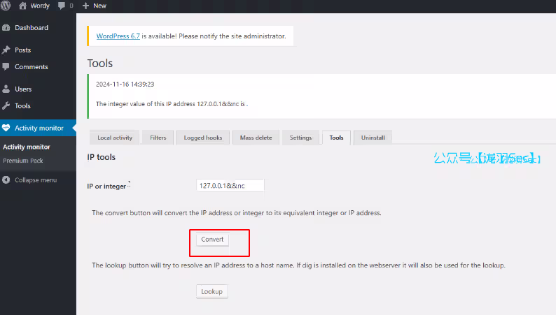 image-20241116224920236