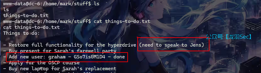 image-20241116232337369