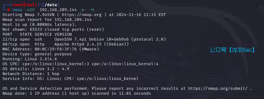 image-20241117103816910