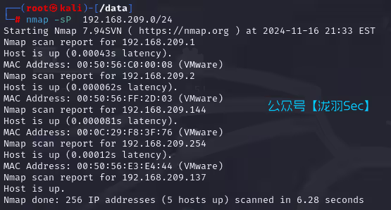 image-20241117103804622