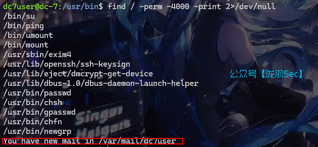 image-20241117124623693