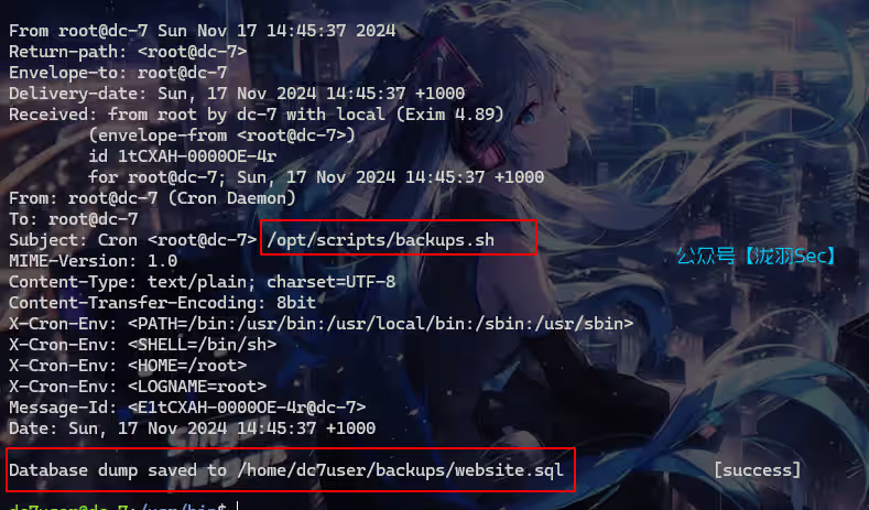 image-20241117124827407