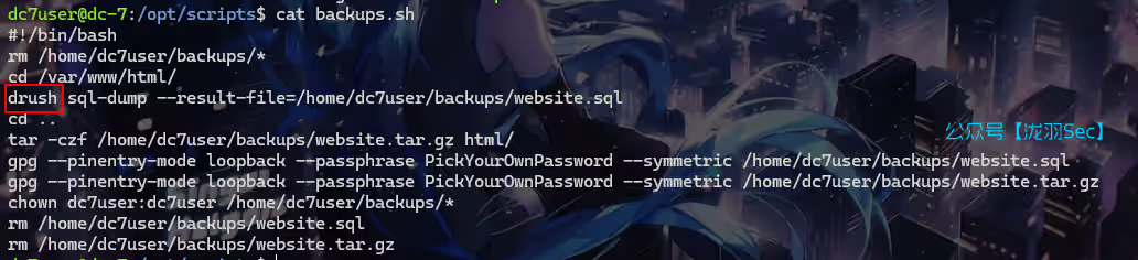 image-20241117125408204