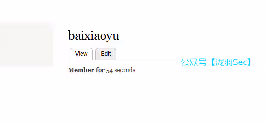 image-20241117131134751