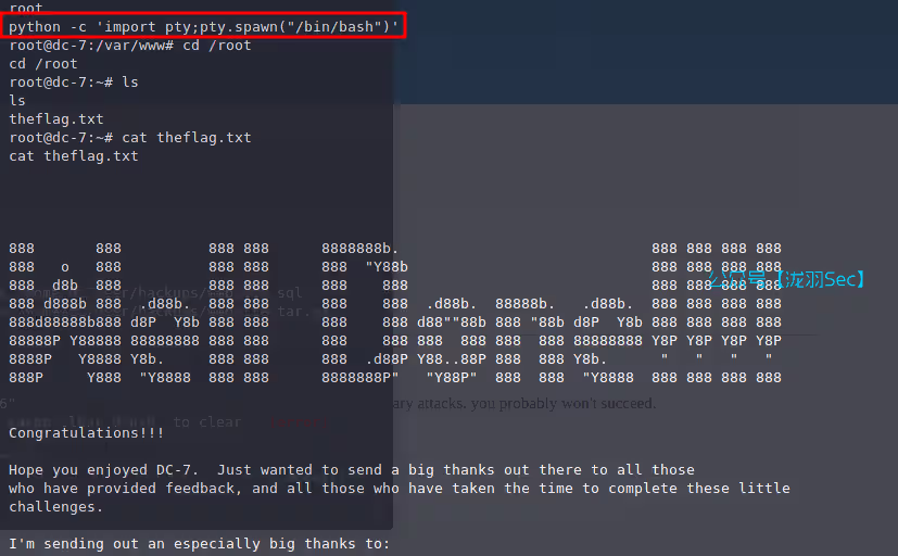 image-20241117171718953