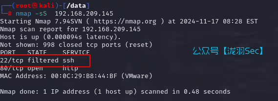 image-20241117212902234