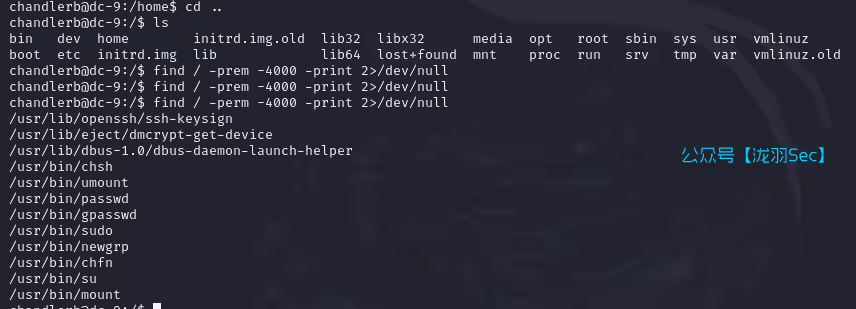 image-20241117220247154