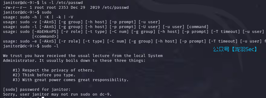 image-20241117220743950
