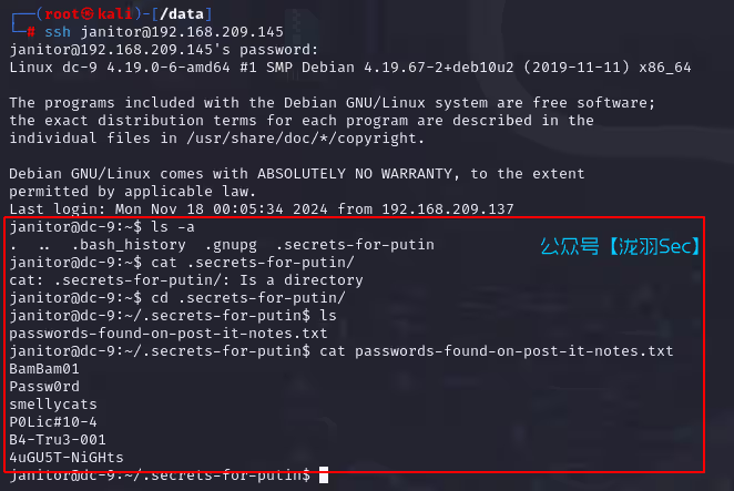 image-20241117221421640