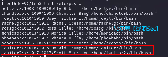 image-20241117224849532