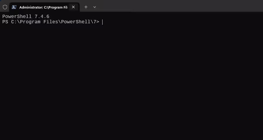 image-20241119135956907