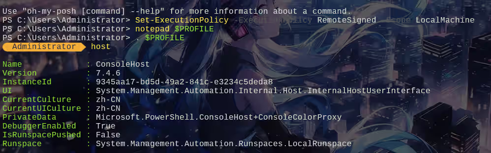 image-20241119142408454