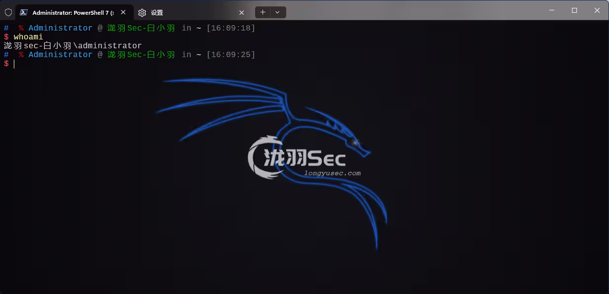 image-20241119160958099