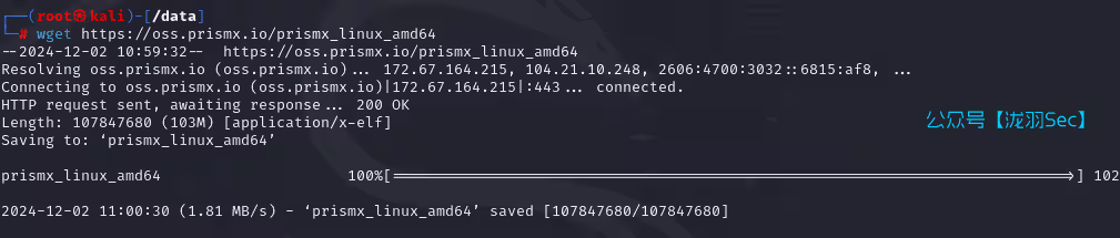 image-20241203000237157