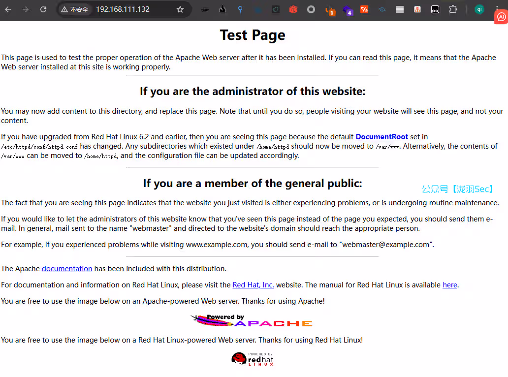 image-20241204220703197