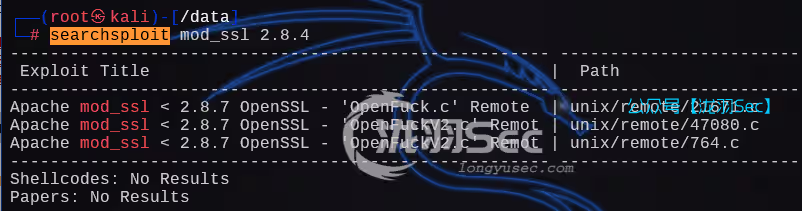 image-20241205004127836