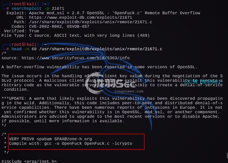 image-20241205010735587