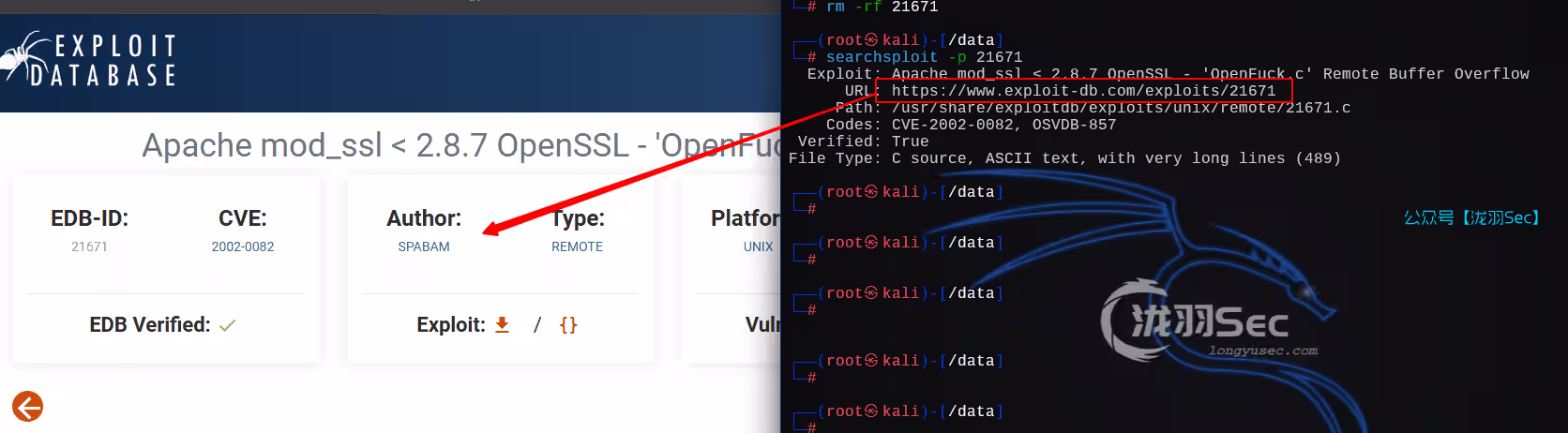 image-20241205012716766