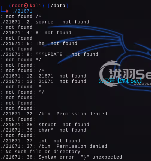 image-20241205013025820