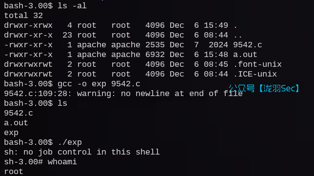 image-20241207164357877