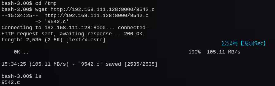 image-20241207164442177