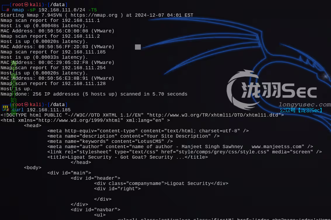 image-20241207170243996