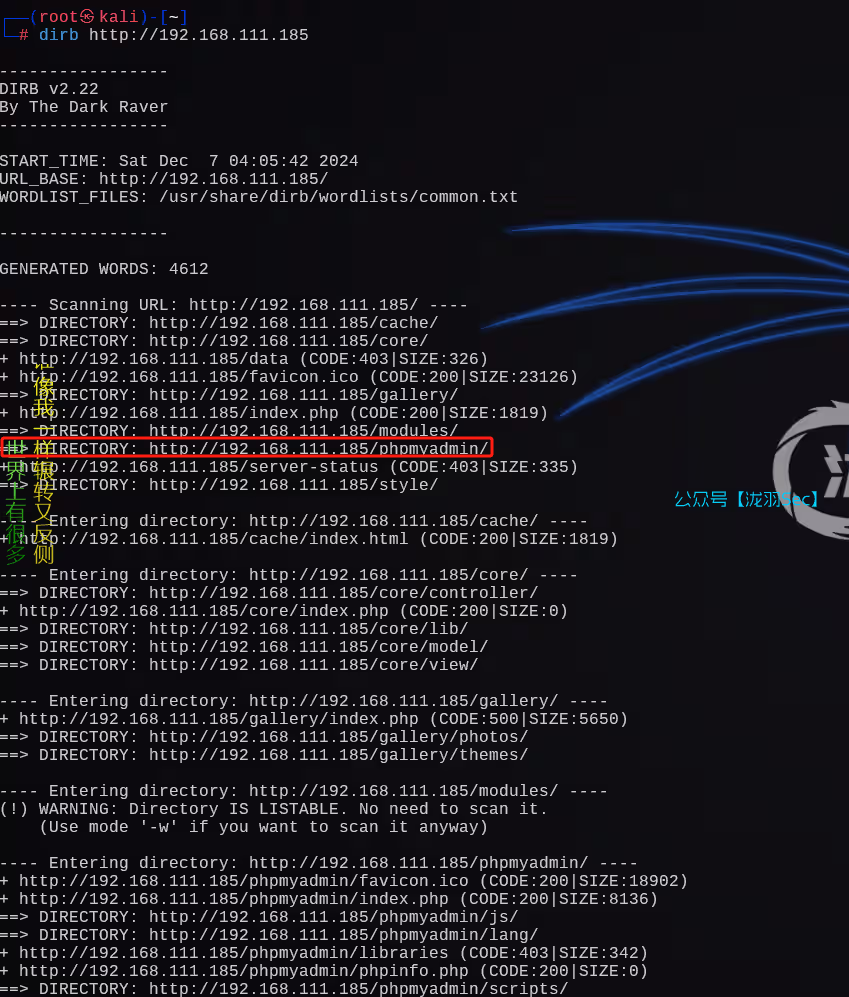 image-20241207172238652