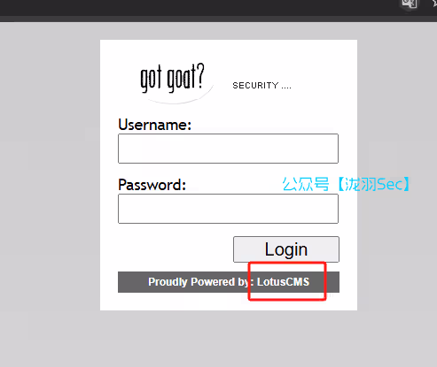 image-20241207200355137