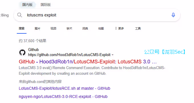 image-20241207210748896