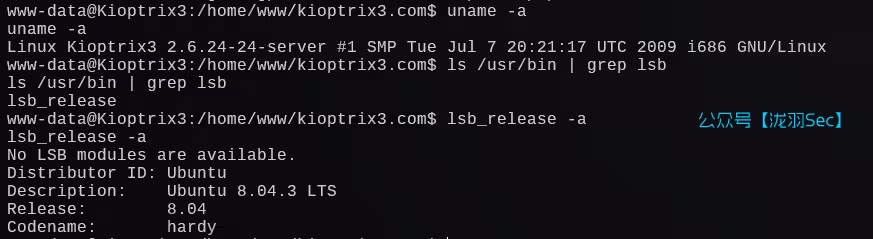 image-20241207213754248