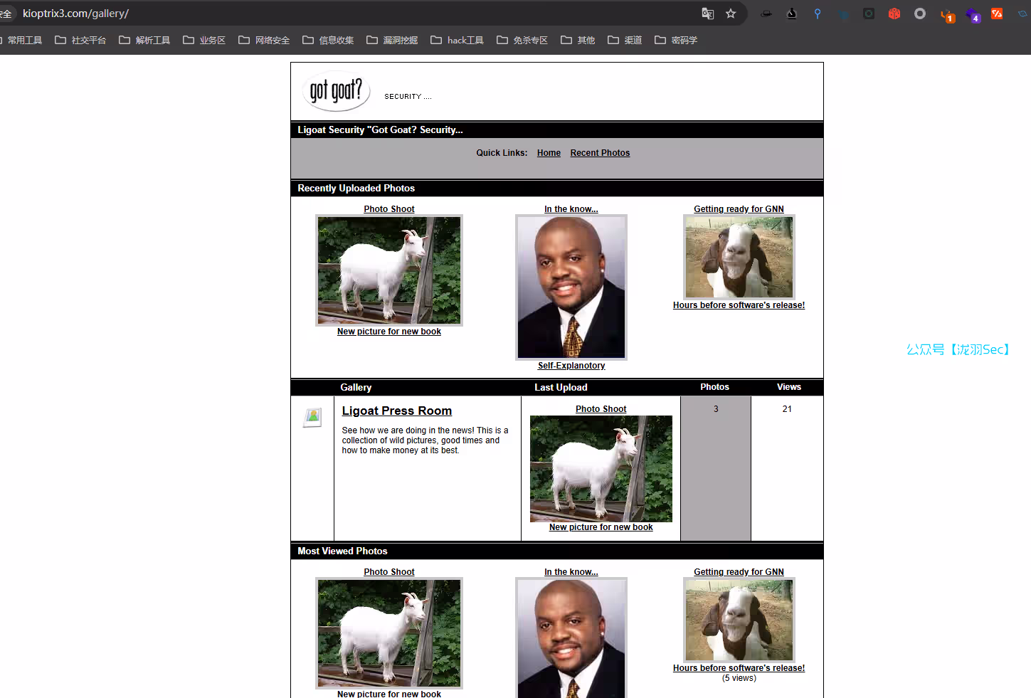 image-20241208021524421