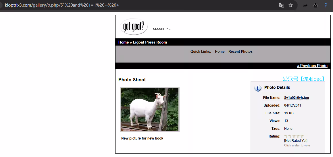 image-20241208021928068